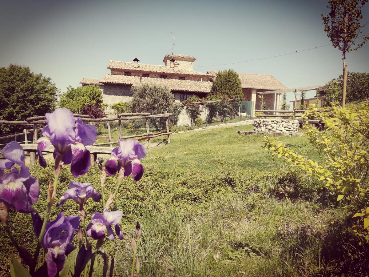 Tenuta I Musi Lunghi Lesignano de' Bagni 외부 사진