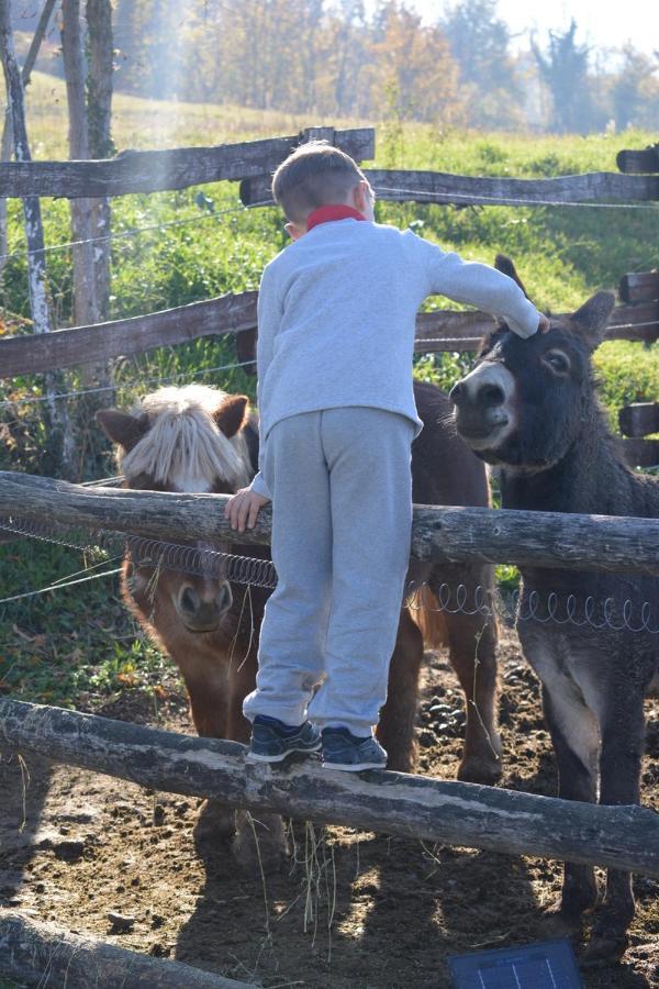 Tenuta I Musi Lunghi Lesignano de' Bagni 외부 사진